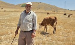 65 Yaşında hala dağlarda! Sağlığın sırrı mesleğinde