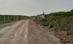Şehirde yol skandalı! 7 ay önce kazdıkları yolu unuttular