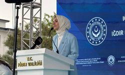 Sosyal Hizmetlerde devrim:  Yeni dönem başlıyor