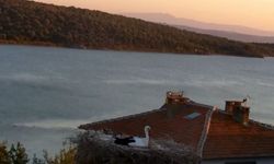 Köyü ayağa kaldıran huzursuzluk! Depremi mi Hissetti?