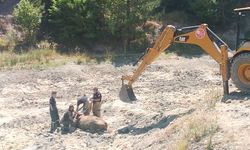 Büyük kurtarma! Bataklıkta mahsur kaldı