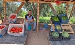 Bir vatandaş, tarladan sebze topladı ve… Olay yaratan hareket!