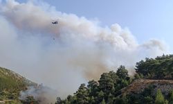 Yangın kabusu: Orman ve yerleşim alanları tehlikede