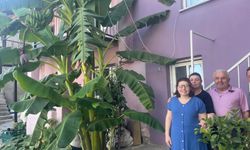 Evin bahçesinde imkansız denilen gerçekleşti!