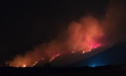 Pamukkale’de korkutan yangın! Yerleşim yerlerine kadar ilerledi