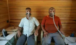 O şehirde arılar bal değil, şifa dağıtıyor!