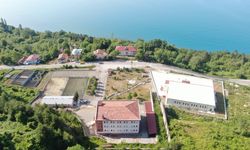 Rusya’dan gelen Ambrosia polenine dikkat