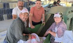 Turşu tutkunlarını sevindiren olay!