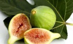 Buca'nın altın incisi şenlikte görücüye çıkıyor