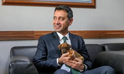 Bayraklı'da binlercesi tedavi edildi, yüzlercesi yuva buldu