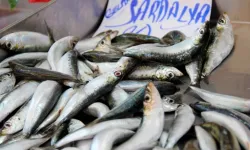 Cildinizdeki zamanı durduran balık! Uzmanlar bu mucizeyi öneriyor