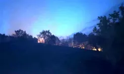 Silvan’da orman yangını korkuttu: Gece yarısı kontrol altına alındı!