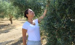 Başkan Sengel’den 'Zeytin Yasasına' sert tepki