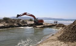 Başkan Sengel’den tepki: Efes Kanal Projesi balıkları öldürüyor!