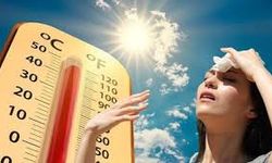 Sıcaklık rekor kırınca tüm kamu kurumları tatil edildi!