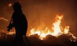 Sıcak hava İspanya’yı vurdu! Yangınlarda 7 kişi yaşamını yitirdi