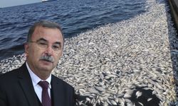 İzmir Körfezi için son şans: 'Taşın altına elinizi koyun'