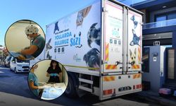 İzmir’in sokak kedilerine özel bakım: 7 bin kedi kısırlaştırıldı