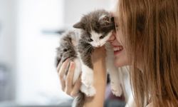 Doğuştan kedi ruhuna sahip 4 burç ortaya çıktı