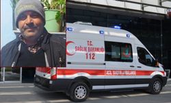 İzmir'de korkunç kaza: Domuz sürüsüne çarpan sürücü can verdi