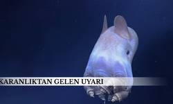 Bilimin sınırlarını zorlayan inanılmaz hayvan türleri!