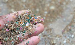Dikkat! Bedeniniz plastik dolu olabilir