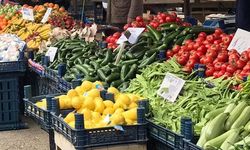 Hal kanunu ile sebze ve meyve fiyatları kontrol altına alınacak