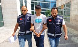 Hırsızlıkta yeni boyut! Kamyonu çaldıktan sonraki adımı hayrete düşürdü