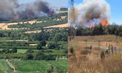 Tarım arazisinde başladı, ormana yayıldı! Çanakkale yangınına müdahale sürüyor