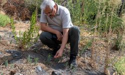 Karşıyaka Yamanlar’da şaşırtan gelişme: Yangın sonrası…