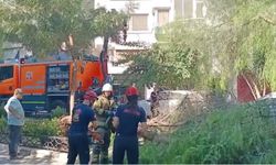 Korkutan anlar: İzmir’de ağaç araçların üzerine düştü