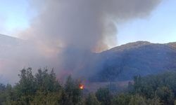 Son dakika! Kentte orman yangını başladı: Müdahale devam ediyor