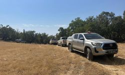 Şırnak’ta orman yangını! Evler tahliye ediliyor