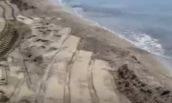 İzmir Dikili’de büyük çevre skandalı: Halk ayağa kalktı