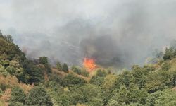 Düzce’de yangın paniği: Gökyüzü dumanla kaplandı!