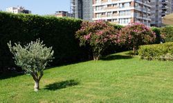 İzmir’de hastaneye gittiğinizde şifa bulacak, bahçesinde kaybolacaksınız!