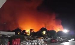 Gece yarısı orman yangını: İtfaiyeler seferber!