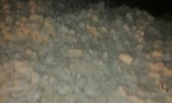 Rize yaylasında korkutan felaket: Eylül'de kar çığa döndü