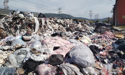 İzmir sokaklarında tehlike: Çöp ve hijyen sorunu büyüyor!