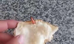 Bir ekmek vakası daha! Bu kez ne çıktı?