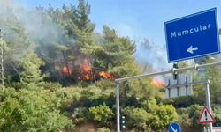 Flaş! Bir ilde daha yangın dehşeti! Alevler kısa sürede büyüdü