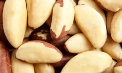 Bu fıstıktan günde sadece 2 tane yiyin, etkisini kısa sürede görün!