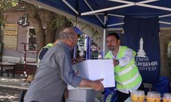 İzmir Büyükşehir’den mandalina üreticisine feromon dopingi!