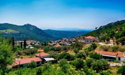 Baldan tatlı üzümüyle Şirince'yi solladı! İzmir'in eski Yörük köyü turistlerin ilgi odağı oldu