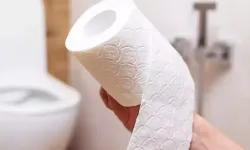 Tuvalet kağıdı sandığınız kadar masum değil: Evde varsa hemen atın!