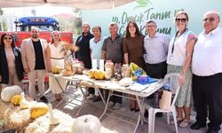 Ovacık’ta Tarım ve Sakız Koyunu Festivali coşkusu devam ediyor