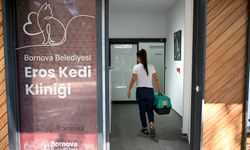 Eros Kedi Kliniği Bornova’da kapılarını açtı