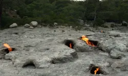 Sadece Türkiye’de var: Dünyanın şaşkınlıkla izlediği doğa mucizesi