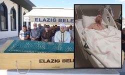 Yarım saat arayla 2 kez araba çarptı: 20 gün sonra hayatını kaybetti!