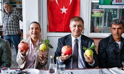 Başkan Tugay nar hasadında